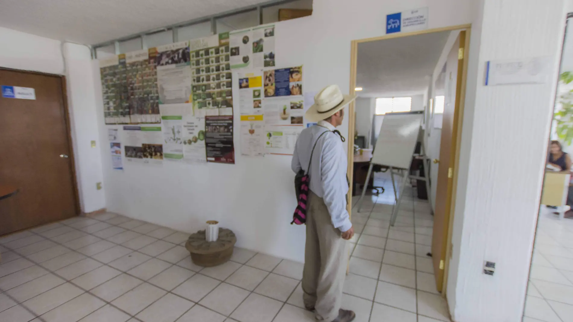 Productores acuden a la Jefatura de Desarrollo Agropecuario para obtener a mejor costos los agroquímicos.  Foto César Ortiz.